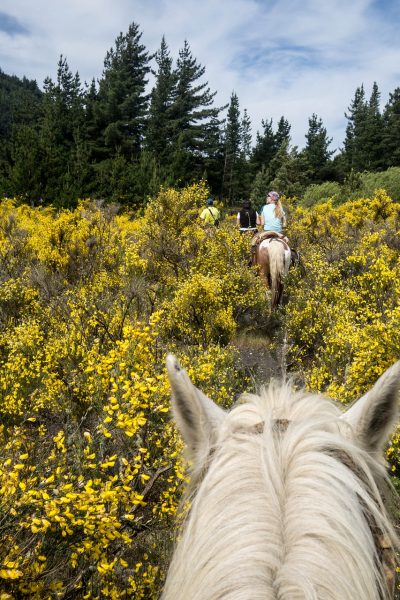 Wine Country Weekends